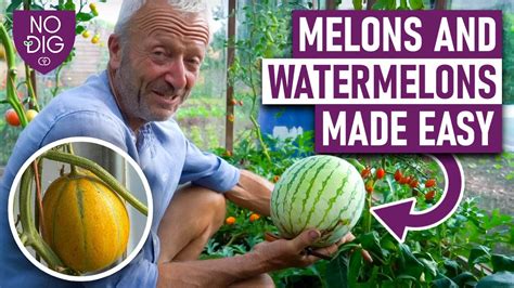 elonstube|Melons